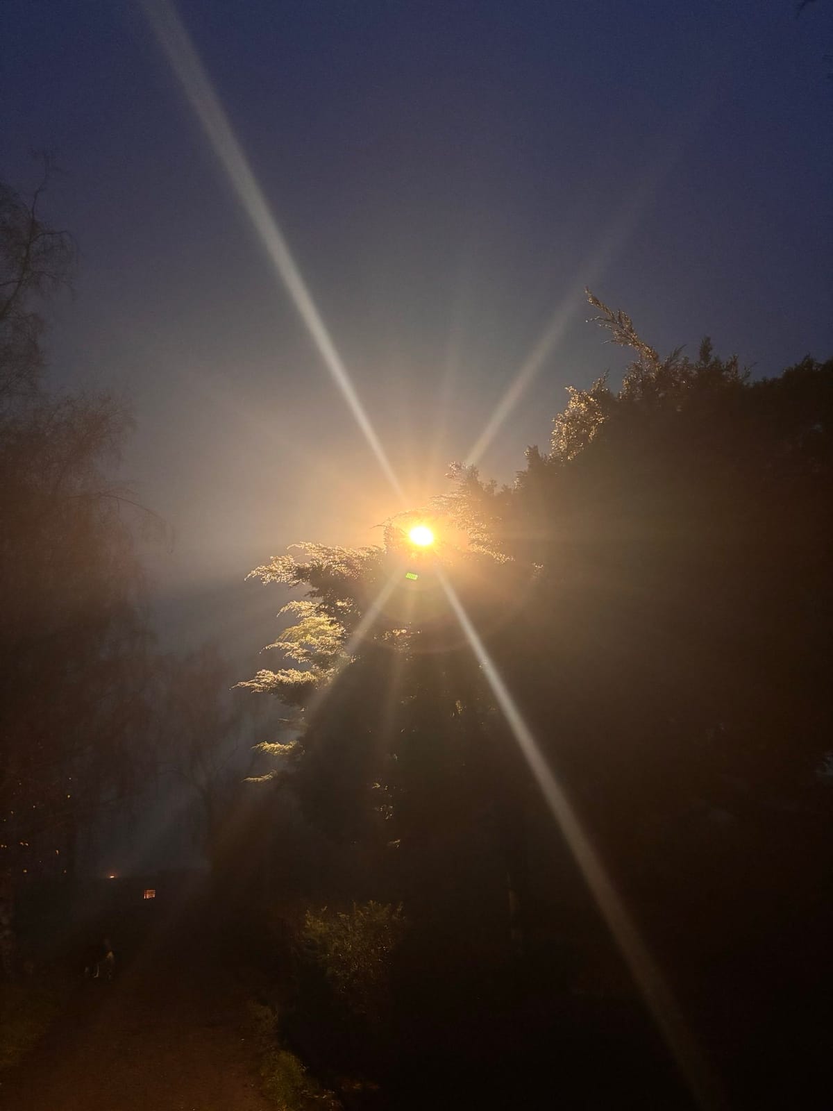 Wenn es langsam wieder heller wird