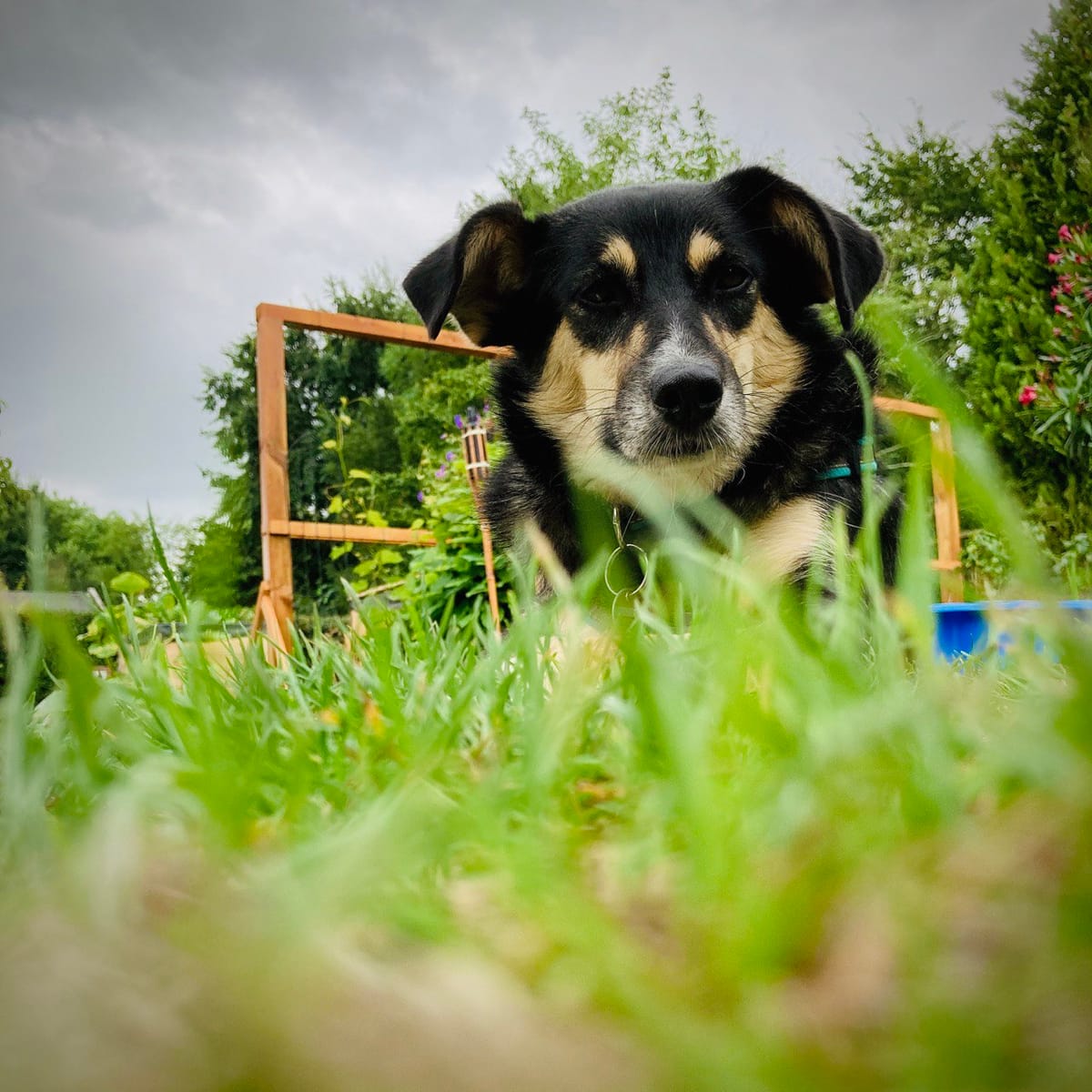 Yuki. Neun Jahre. Und genau richtig.