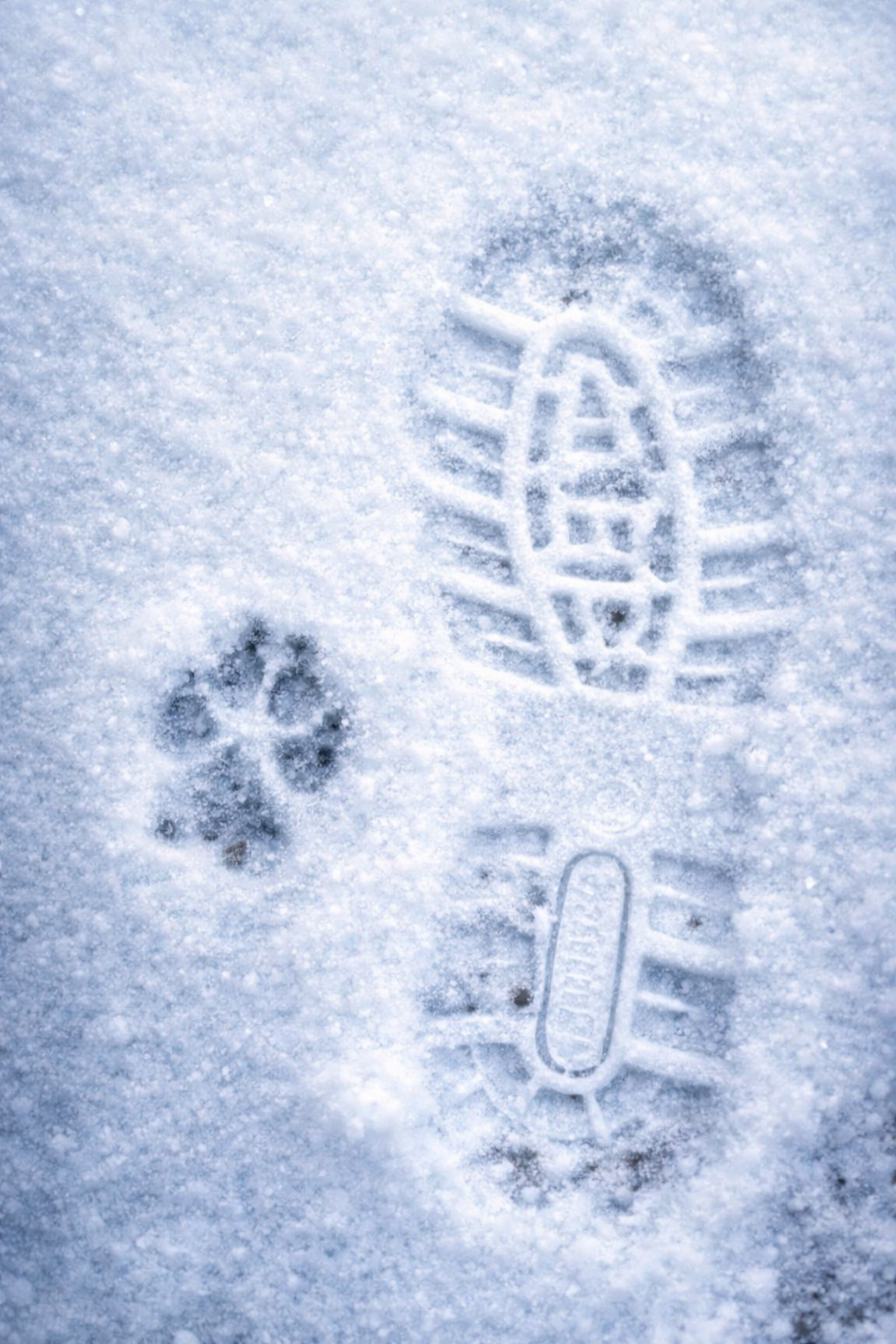 Zwei Spuren im Schnee