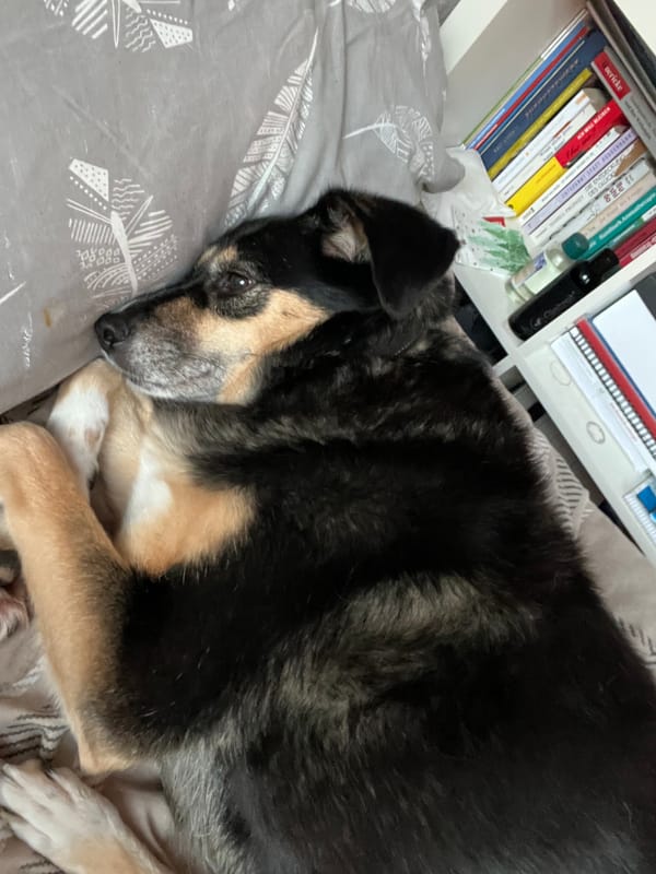 Morgendliches Aufstehen mit Anlauf