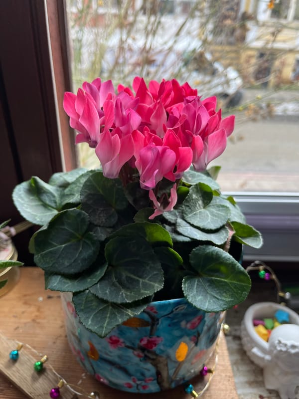 Zwischen leise und laut